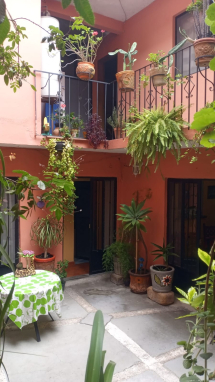 WhatsApp Image 2024-10-11 at 9.35.49 AM WhatsApp Image 2024-10-11 at 9.35.49 AM