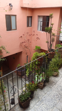 WhatsApp Image 2024-10-1u1 at 9.35.49 AM WhatsApp Image 2024-10-1u1 at 9.35.49 AM